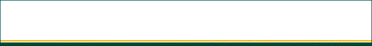 Referenzbeispiel Full Banner